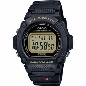 Ceas Casio COLLECTION W-219H-1A2 imagine