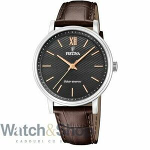 Ceas Festina FESTINA WATCHES Mod. F20660/6 imagine