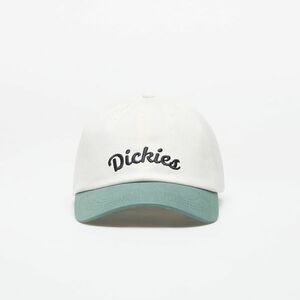 Dickies Keysville Cap Cloud imagine