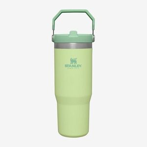 STANLEY The IceFlow™ Flip Straw Tumbler 890 ml Citron imagine