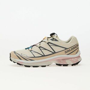 Sneakers Salomon XT-6 GTX Almond Milk/ Feather Gray/ Pale Mauve imagine