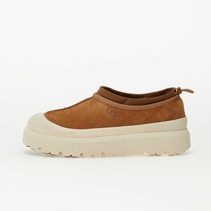 Sneakers UGG M Tasman Weather Hybrid Chestnut/ Whitecap imagine