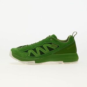 Sneakers Salomon x Phileo Alpinway SP2 Treetop/ Icicle/ Calla Green imagine