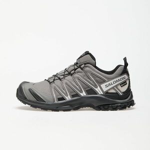 Sneakers Salomon XA Pro 3D GTX Pewter/ Black/ Silver Cloud imagine