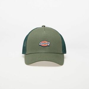 Dickies Hanston Trucker Dark Forest imagine