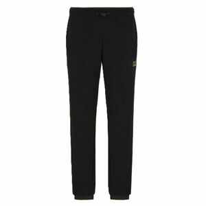 Pantaloni EA7 M PANTS CH PQ imagine