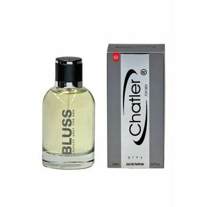 Apa de parfum pentru barbat Bluss Grey - 100 ml imagine