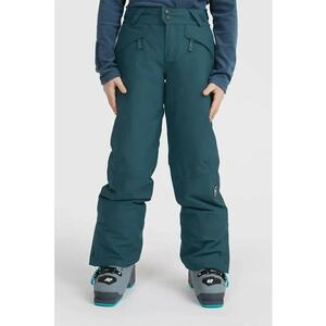 Pantaloni impermeabili si rezistenti la vant - pentru ski Anvil imagine