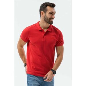 Tricou polo din bumbac cu model pique imagine