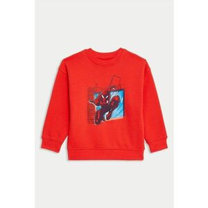 Bluza de trening cu imprimeu Spidernan imagine