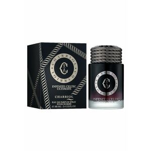 Apa de Parfum Infinite Celtic Ultimate - Barbati - 100 ml imagine