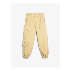 Pantaloni cargo regular fit de bumbac imagine