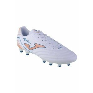 Pantofi Aguila 2332 Fg AGUS2332FG Pentru fotbal imagine