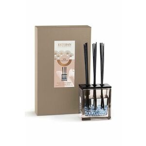 Esteban difuzor de arome Iris&Cachemire Triptyque 250 ml imagine