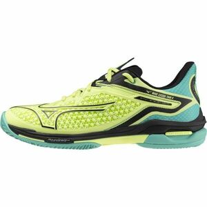 Mizuno WAVE EXCEED TOUR 6 CC Încălțăminte de tenis bărbați, galben, mărime 42.5 imagine