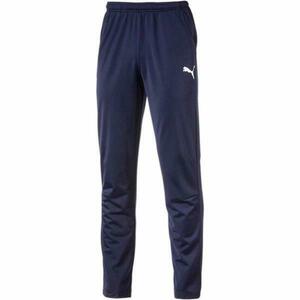 Pantaloni barbati Puma Men Liga Pants Core 65577006, XXL, Albastru imagine