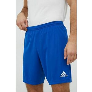 adidas Performance pantaloni scurți de antrenament Entrada 22 bărbați HG6294 imagine