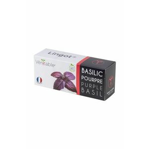 Veritable - Insertie de seminte busuioc violet imagine