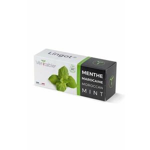 Veritable insertie de seminte Moroccan Mint imagine