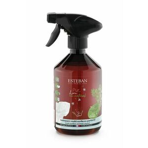 Esteban agent pentru curatarea diferitelor suprafete Natural Pur Lin 500 ml imagine