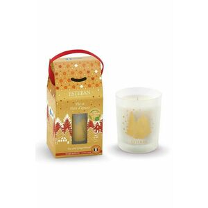 Esteban lumanare aromata Tea and Gingerbread 180 g imagine