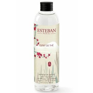 Esteban difuser de arome Esprit de thé 250 ml imagine