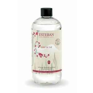 Esteban complement la difuzor Esprit de thé 500 ml imagine