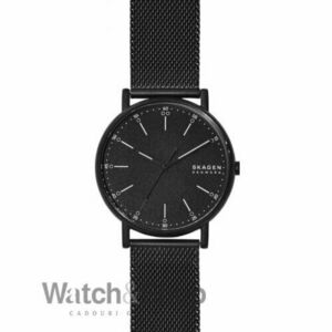 Ceas Skagen Skagen SKW6579 imagine