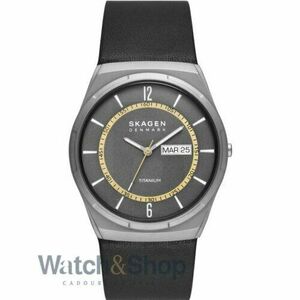 Ceas Skagen Skagen SKW6907 imagine