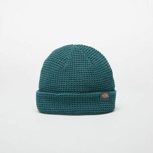 Dickies Woodworth Waffle Beanie Lincol imagine