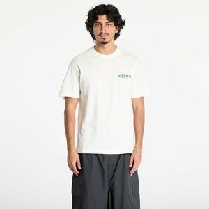 Tricou Dickies Dickies Builder Short Sleeve Tee Cloud imagine