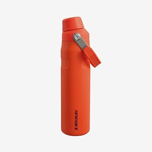 STANLEY The Aerolight™ IceFlow™ Water Bottle Fast Flow 600 ml Tigerlily Plum imagine