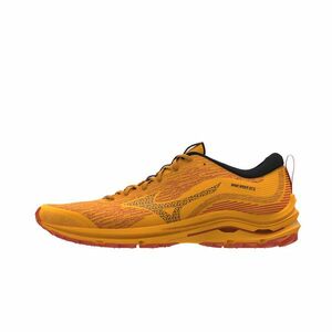 Sneakers Mizuno Wave Rider Gtx Zinnia/ Tigerlily/ Black imagine