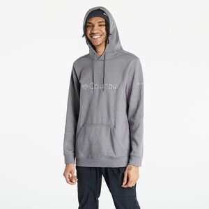 Columbia Csc Basic Logo™ II Hoodie City Grey Heath imagine