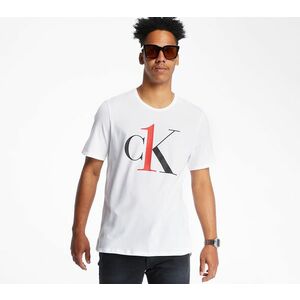 Tricou Calvin Klein Tee Multicolor imagine