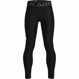 Pantaloni Under Armour Y Hg Leggings Black imagine