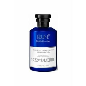 Balsam 1922 Essential 250 ml imagine