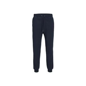 Pantaloni JACK &JONES Gordon Bradley 30359 imagine