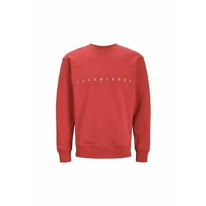 Bluza JACK &JONES Copenhagen Big JNR 35955 imagine