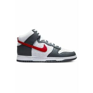 Pantofi sport Dunk Low Retro FL 26318 imagine