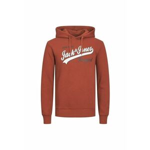 Hanorac JACK &JONES Logo 2 Colors 30378 imagine