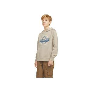 Hanorac JACK &JONES Logo Sweat Hood JNR 38195 imagine