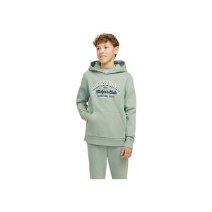 Hanorac JACK &JONES Logo 2 Colours JNR Verde deschis imagine