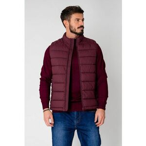 Vesta barbati Burgundy 15108 imagine