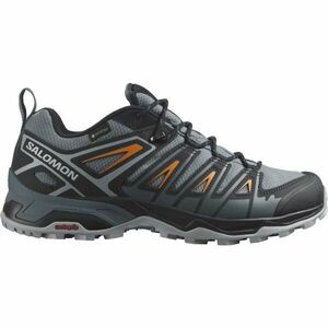 Salomon X ULTRA PIONEER GTX Încălțăminte turism bărbați, gri, mărime 42 2/3 imagine