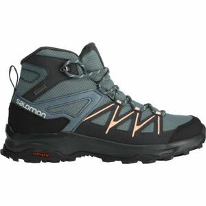 Salomon DAINTREE MID GTX W Încălțăminte drumeții femei, gri, mărime 40 2/3 imagine