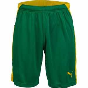 Puma KC LIGA SHORTS Pantaloni scurți de fotbal bărbați, verde, mărime imagine