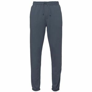 Quiksilver SALT WATER JOGGER Pantaloni de trening pentru bărbați, albastru închis, mărime imagine