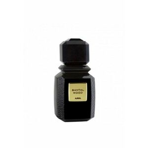 Santal Wood - Unisex - Eau de parfum - 100 ml imagine