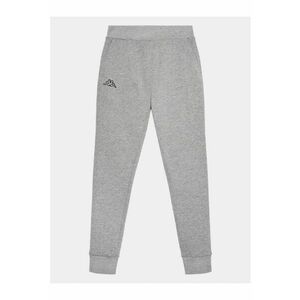 Pantaloni sport barbati - 303503857 - Bumbac imagine